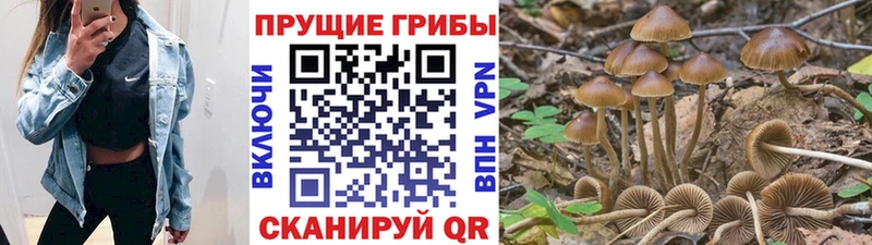 Галлюциногенные грибы ЛСД kraken рабочий сайт Ялуторовск где купить наркотик